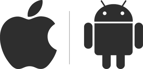 Mobile App Development Frameworks in 2019 - Dashbouquet